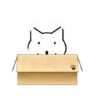 ねこ スタンプフレーム集 第二弾（個別スタンプ：6）