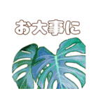 飛び出して動く♪南国ハワイの華やかな花（個別スタンプ：11）