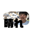 vector09産 ver.4（個別スタンプ：18）