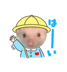 うちのこむぎさん②（個別スタンプ：2）