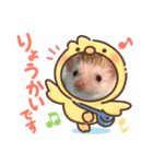 うちのこむぎさん②（個別スタンプ：3）