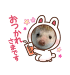 うちのこむぎさん②（個別スタンプ：4）
