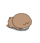 くまと小ぐまのスタンプ（個別スタンプ：10）