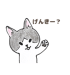 きょうだい猫のゆかいな日常（個別スタンプ：1）