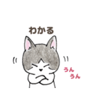 きょうだい猫のゆかいな日常（個別スタンプ：38）