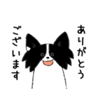 雑種犬今太郎（個別スタンプ：2）