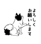 雑種犬今太郎（個別スタンプ：3）