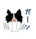 雑種犬今太郎（個別スタンプ：15）