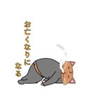 ムチムチ猫3敬語（個別スタンプ：18）