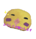 nanda zoo cookies 挨拶（個別スタンプ：2）