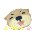 nanda zoo cookies 挨拶（個別スタンプ：8）