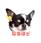 ぽたろう 4歳（個別スタンプ：1）