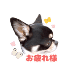 ぽたろう 4歳（個別スタンプ：2）