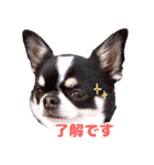 ぽたろう 4歳（個別スタンプ：3）