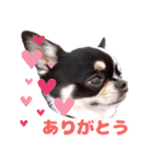 ぽたろう 4歳（個別スタンプ：4）
