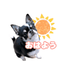 ぽたろう 4歳（個別スタンプ：5）