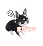ぽたろう 4歳（個別スタンプ：7）
