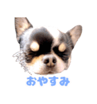 ぽたろう 4歳（個別スタンプ：9）