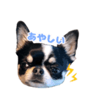 ぽたろう 4歳（個別スタンプ：11）