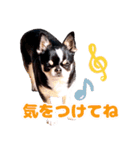 ぽたろう 4歳（個別スタンプ：18）