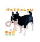 ぽたろう 4歳（個別スタンプ：19）