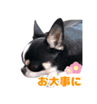 ぽたろう 4歳（個別スタンプ：20）