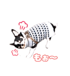 ぽたろう 4歳（個別スタンプ：21）
