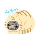 みんな集合‼️（個別スタンプ：4）