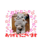 みんな集合‼️（個別スタンプ：5）