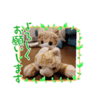 みんな集合‼️（個別スタンプ：6）