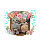 みんな集合‼️（個別スタンプ：7）