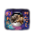 みんな集合‼️（個別スタンプ：8）