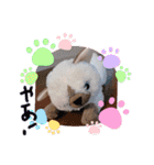 みんな集合‼️（個別スタンプ：9）