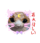 みんな集合‼️（個別スタンプ：11）
