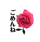 yasuおばさんの薔薇言葉R3-2（個別スタンプ：30）