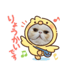 ピョルポギ（個別スタンプ：20）