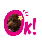 シェリースタンプ4(^^/)（個別スタンプ：4）