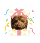 シェリースタンプ4(^^/)（個別スタンプ：14）