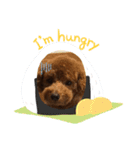 シェリースタンプ4(^^/)（個別スタンプ：15）