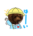 シェリースタンプ4(^^/)（個別スタンプ：16）