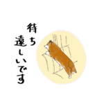 ハロー、柴犬で〜す（個別スタンプ：12）