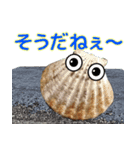 海の生き物 アサリ 貝 レジャーや日常で（個別スタンプ：9）