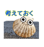 海の生き物 アサリ 貝 レジャーや日常で（個別スタンプ：10）