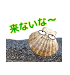 海の生き物 アサリ 貝 レジャーや日常で（個別スタンプ：11）