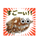 海の生き物 アサリ 貝 レジャーや日常で（個別スタンプ：24）