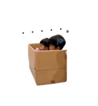 ささきBOYZ（個別スタンプ：19）