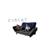 ゆち3（個別スタンプ：35）