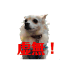 中谷山の妖精（個別スタンプ：14）