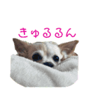 中谷山の妖精（個別スタンプ：15）