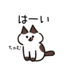 Popup！少し動く！猫ちゃん [敬語]（個別スタンプ：6）